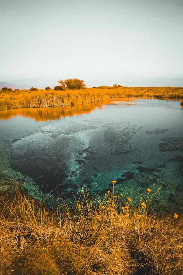 Cuatrocienegas, Coahuila + Monterrey